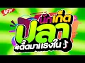 Download Lagu #ตื๊ดมาแรงในTIKTOK ★นักเก็ตปลา - Makeba (Jain)★ Ver.สายย่อตื๊ดๆมันส์ๆ 🔥 | DJ PP THAILAND REMIX