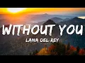 Lana Del Rey - Without You