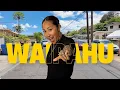 Watch These 14 Minutes If You Want To Know About Waipahu