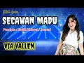 Download Lagu Secawan Madu - Via Vallen (Lirik)
