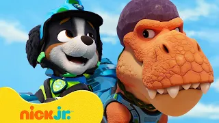 PAW Patrol Teams Up with Timmy the T-Rex! 🦖 | New Dino Island Rescues | Nick Jr.