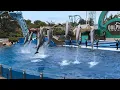 Download Lagu Dolphins Adventures (Full Show) at SeaWorld San Diego on June 17, 2023