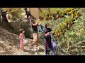 Download Lagu IRAN nomadic life🌄 | Harvesting Nomads' Crops🍒 | Secrets of Nomads' Wild Barberry Picking🍯