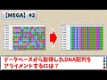 MEGA MEGAX Alignment