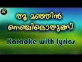 Download Lagu Thoo manijn nenjilothungi karaoke with lyrics 