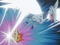 PokeWilds - SKARMORY PEN cyndaquil AND CAMP REVEAL