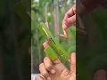 Download Lagu How To Make Wonderful Bamboo Crafts #Toys #Diy