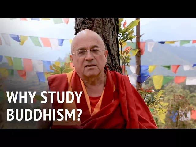 Why Study Buddhism? | Matthieu Ricard