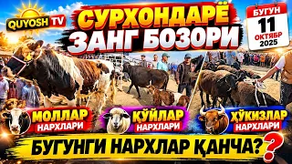 СУРХОНДАРЁ ЗАНГ БОЗОРИДА БУГУНГИ НАРХЛАР! 😱 МОЛ, ҚЎЙ ВА ҲЎКИЗЛАР ҚАНЧА?