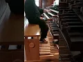 Andreas Gärtner spielt: L'Amour toujours von Gigi d'Agostino