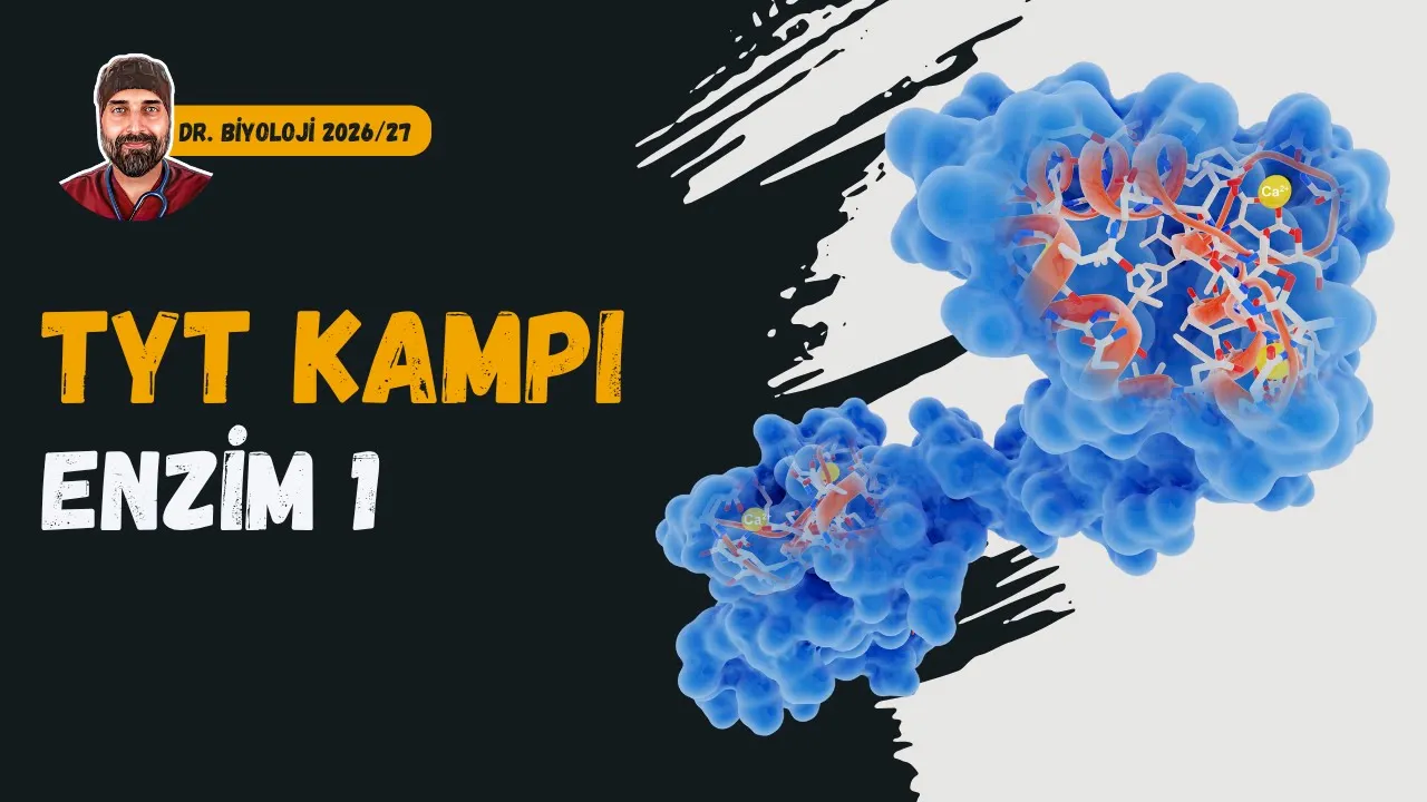 Enzimler 1. Kısım | Dr. Biyoloji | Dönem 2026 - 2027