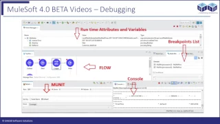 Mule4 Debugging Mule Application
