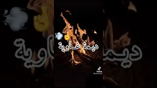 Didine Canon 16 النار الڨادية كلمات 