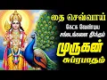 Lagu 🔴LIVE SONG தை செவ்வாய்க்கிழமை வெற்றி தரும் முருகன் சுப்ரபாதம் முருகன் சுப்ரபாதம் Murugan Suprabatham