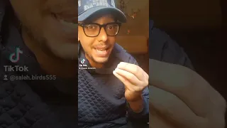 احذر البرد عصافير اكسبلور Birds طيور تيم صالح دويتو متابعه لايك في ترند تيك توك  احذر البرد عصافير اكسبلور Birds طيور تيم صالح دويتو متابعه لايك في ترند تيك توك