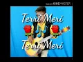 Download Lagu Terri Meri.love.song.