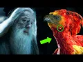 Why Didn t Fawkes Tears Heal Dumbledore s Hand - Harry Potter Explained