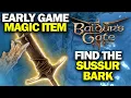 BALDUR S GATE 3 - Find The Sussur Bark and Finish The Masterwork Weapon Early Game Magic Item