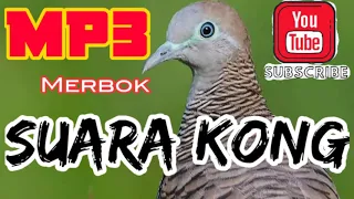 mp3 suara merbok suara kong