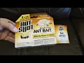 What You Should Know - Hot Shot Ant Bait