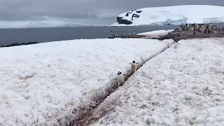 The Seventh Heaven | A Travel Documentary on a Journey to Antarctica