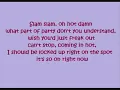 Pink - Raise your Glass (lyrics)