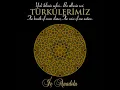 Leblebi Koydum Tasa