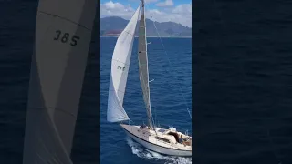 Learning to sail in paradise 🌴🌊 #sailingadventures #boatlife #intro #shorts