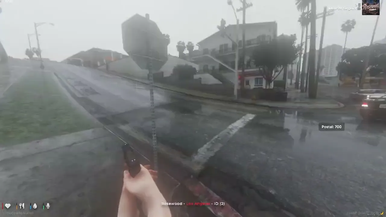 İremK - Advanced POV | L.A. Style