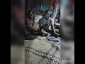 Sweet Darling - Sigidrigi
