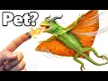 I Got a Pet Dragon actually flies