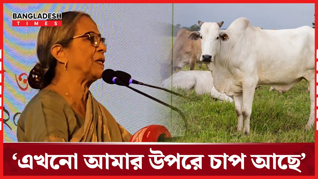 ব্রাজিল থেকে মাংস আমদানি নিয়ে যা বললেন মৎস্য উপদেষ্টা