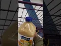 Finally Molasses at 99 cent store 22