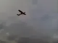 El Avion De La Muerte Los Tigres Del Norte  YouTube