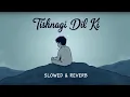 Tishnagi Dil Ki | New Sad Song | Pakistani Drama ost | Slowed and Reverb