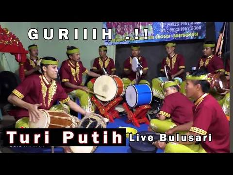 Download MP3 Turi putih Kuntulan Pelinggihan