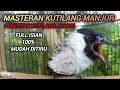 Download Lagu SUARA BURUNG KUTILANG GACOR FULL ISIAN JUARA UNTUK MASTERAN KUTILANG, MUDAH DITIRU SEMUA KUTILANG