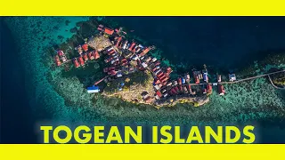 Sailing the TOGEAN Islands. Worth it or not?. (Ep 272)