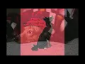 How To Silence A BARKING DOG: An Incredibly Easy Method [Works For All Dogs]