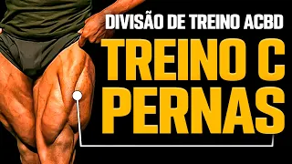 TREINO COMPLETO DE PERNAS NA MELHOR DIVISÃO * TREINO C *