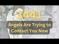 Discover the Secret Angel Number 1441 Meaning Today