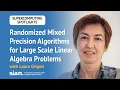 Randomized Mixed Precision Algorithms for Large Scale Linear Algebra Problems with Laura Grigori
