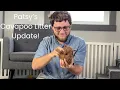 Patsy s Cavapoo Litter Update