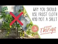 Why You Should Use Frost Cloth and Not A Sheet