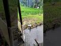 Download Lagu Pemandangan alam di iringi Suling Sunda Sabilulungan ♪♪♪