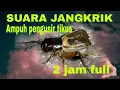 Download Lagu suara jangkrik pengusir tikus ampuh