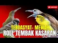 Download Lagu JAMINAN BURUNG JUARA!! GEREJA TARUNG - TENGKEK BUTO - CUNGKOK MENJERIT - BIKIN BURUNG JUWARA