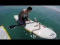 Giant Squid Attacks Surfboard