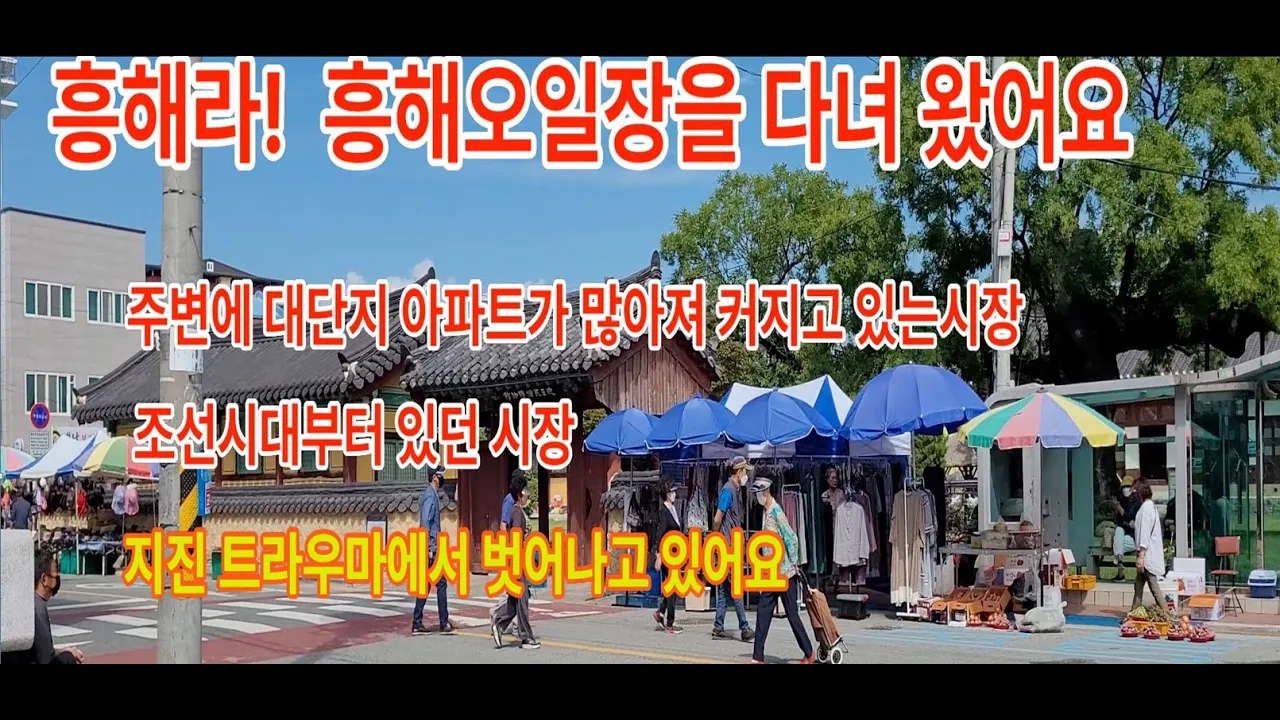 ep12유서깊은 흥해라 흥  흥해5일장_가짜농부의 시골생활