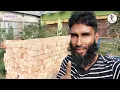 আমাদের নতুন সদস্য “মাস্কোভি” হাঁস 🦢